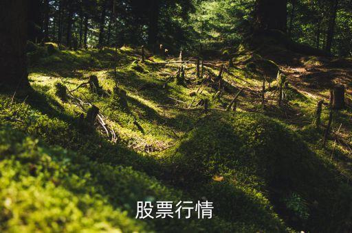 股票行情