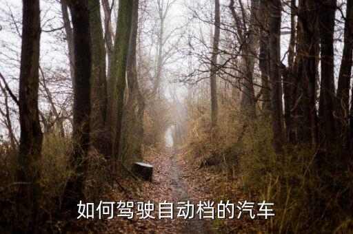 如何駕駛自動檔的汽車