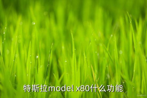 特斯拉model x80什么功能