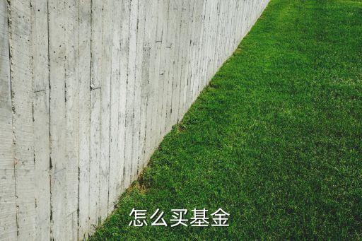 怎么買基金