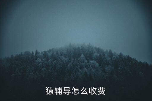 猿輔導課程收費標準，各位誰知道猿輔導收 費 貴嗎