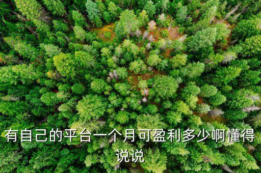 有自己的平臺一個月可盈利多少啊懂得說說