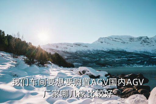 我們車間要想要購置AGV國內(nèi)AGV廠家哪幾家比較好