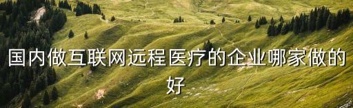 國內做互聯(lián)網(wǎng)遠程醫(yī)療的企業(yè)哪家做的好