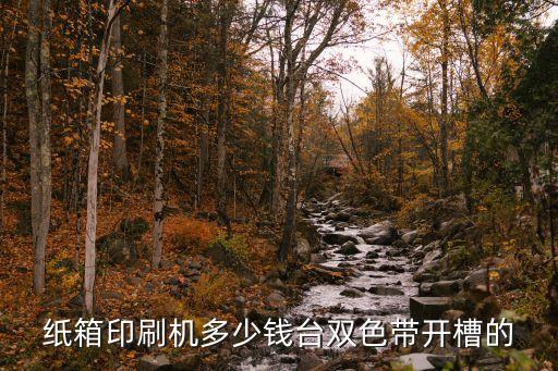 紙箱印刷機(jī)多少錢臺(tái)雙色帶開槽的