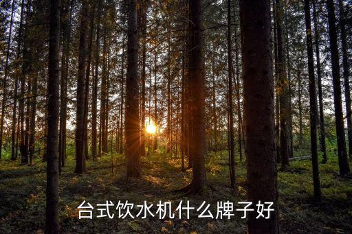 臺式飲水機什么牌子好