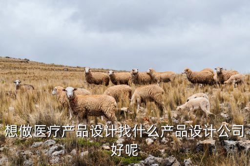 想做醫(yī)療產(chǎn)品設(shè)計找什么產(chǎn)品設(shè)計公司好呢