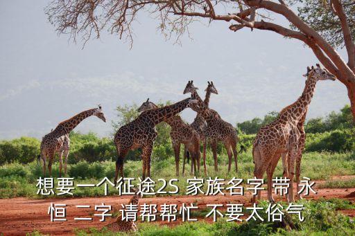 征途永恒，求征途2S家族 名字 帶 永恒 二字 不要太俗氣