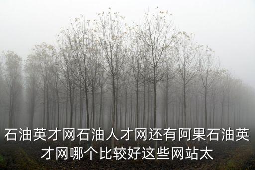 石油英才網(wǎng)石油人才網(wǎng)還有阿果石油英才網(wǎng)哪個比較好這些網(wǎng)站太