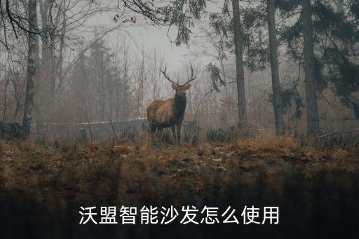 沃盟智能沙發(fā)怎么使用