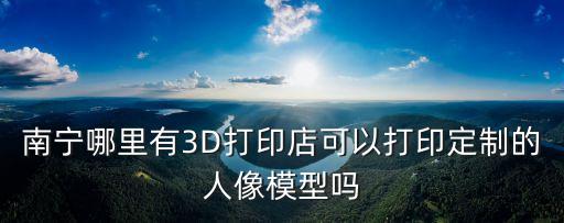 南寧哪里有3D打印店可以打印定制的人像模型嗎