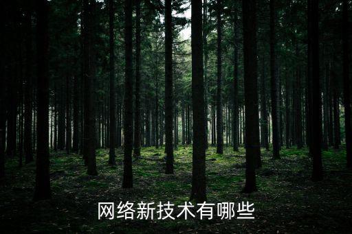 網(wǎng)絡(luò)新技術(shù)有哪些