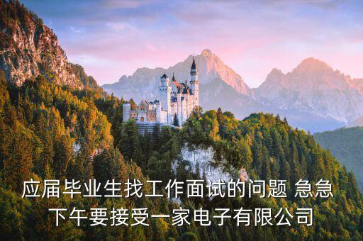 應(yīng)屆畢業(yè)生找工作面試的問題 急急 下午要接受一家電子有限公司