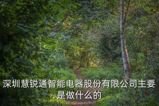 深圳慧銳通智能電器股份有限公司主要是做什么的