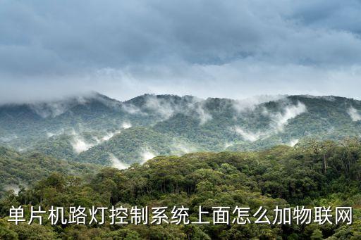 物聯(lián)網(wǎng)的智能交通燈控制系統(tǒng)，單片機(jī)路燈控制系統(tǒng)上面怎么加物聯(lián)網(wǎng)