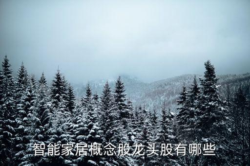 智能家居概念股龍頭股有哪些
