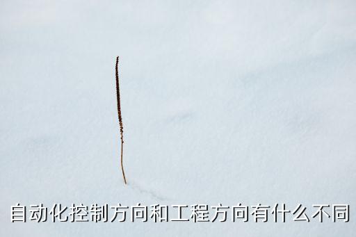 自動化控制方向和工程方向有什么不同