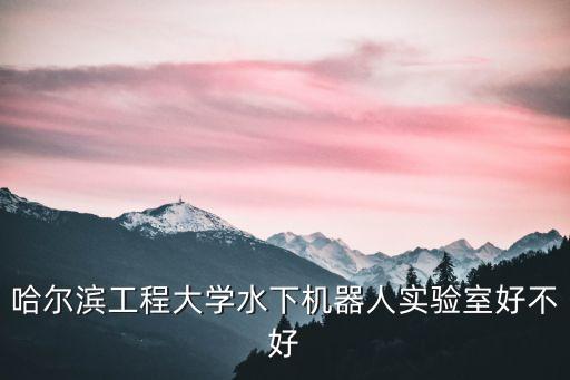 哈爾濱工程大學水下機器人實驗室好不好