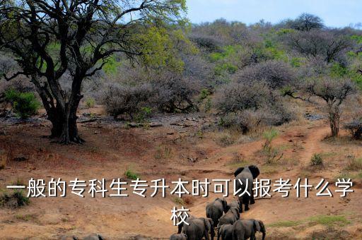 一般的專科生專升本時可以報考什么學校