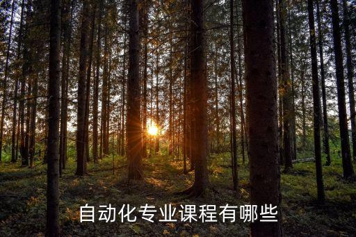自動(dòng)化專業(yè)課程有哪些