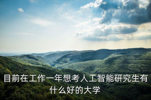 目前在工作一年想考人工智能研究生有什么好的大學(xué)