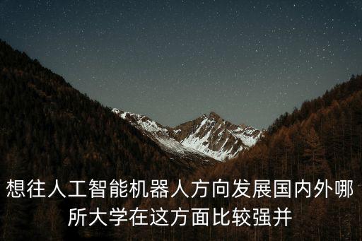 想往人工智能機器人方向發(fā)展國內(nèi)外哪所大學在這方面比較強并