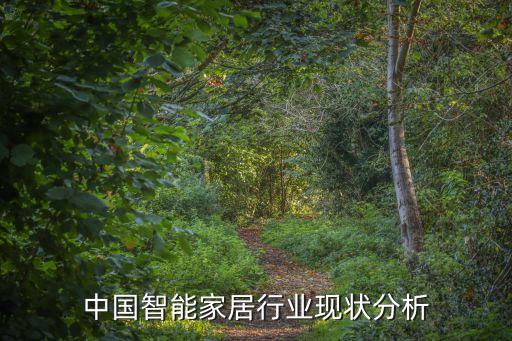 中國(guó)智能家居行業(yè)現(xiàn)狀分析