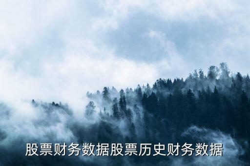 股票財務(wù)數(shù)據(jù)股票歷史財務(wù)數(shù)據(jù)