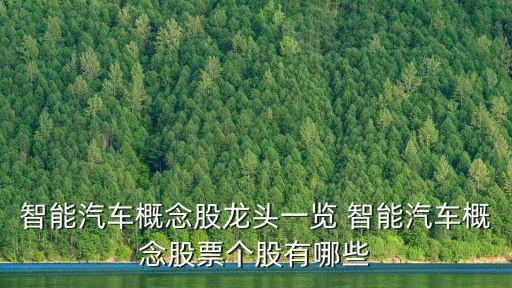 智能汽車軟件開發(fā)龍頭股，新能源汽車智能化趨勢下哪些個(gè)股值得