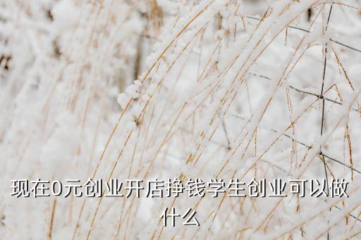 現(xiàn)在0元?jiǎng)?chuàng)業(yè)開店掙錢學(xué)生創(chuàng)業(yè)可以做什么
