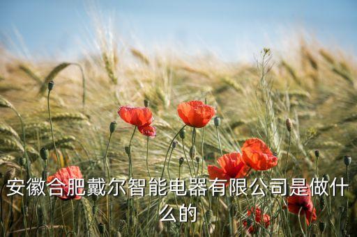 智能電器有限公司，一家智能電器有限公司 是做什么電器
