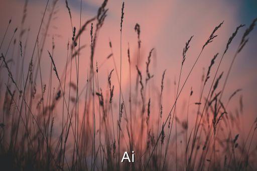 Ai