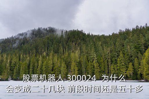 股票機(jī)器人 300024  為什么會(huì)變成二十幾塊 前段時(shí)間還是五十多