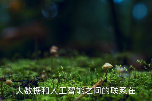 大數(shù)據(jù)和人工智能之間的聯(lián)系在