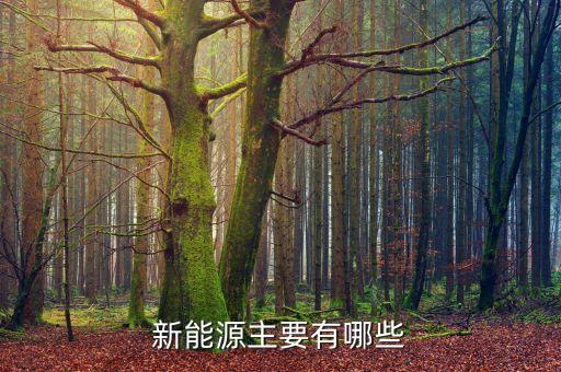 新能源項目大全，汽車新能源都有哪些