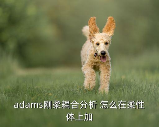 adams剛?cè)狁詈戏治?怎么在柔性體上加