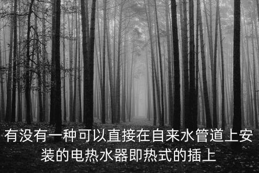 有沒(méi)有一種可以直接在自來(lái)水管道上安裝的電熱水器即熱式的插上