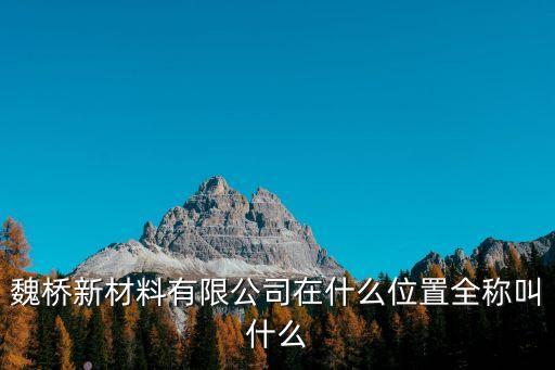 魏橋新材料有限公司在什么位置全稱叫什么