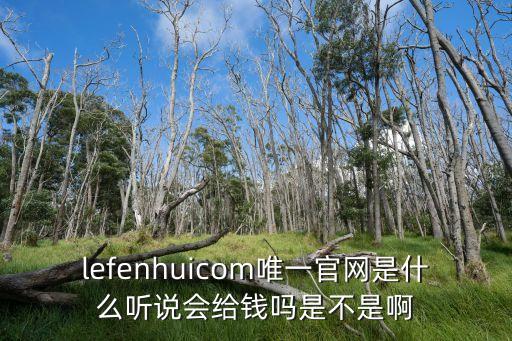 利云卡盟官網(wǎng)，利云卡盟主站域名是什么用來(lái)登陸卡盟app的