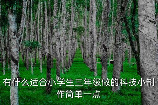 有什么適合小學生三年級做的科技小制作簡單一點