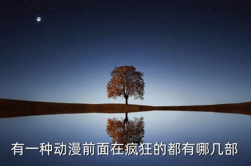 有一種動(dòng)漫前面在瘋狂的都有哪幾部