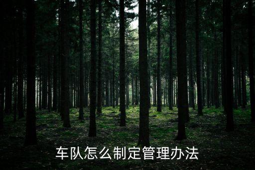 車隊(duì)怎么制定管理辦法