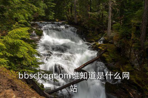 bbs中國官網(wǎng)，bbs簡介