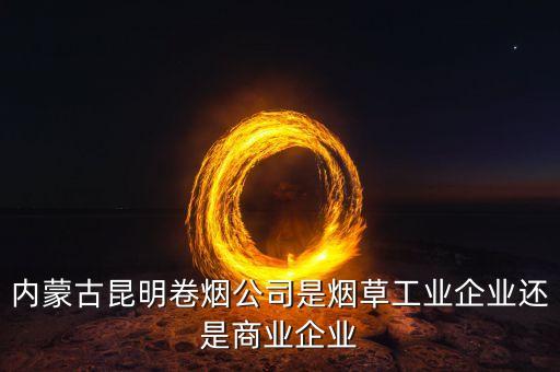 內(nèi)蒙古昆明卷煙公司是煙草工業(yè)企業(yè)還是商業(yè)企業(yè)