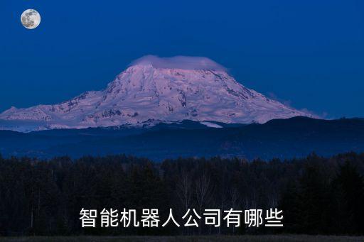 智能機(jī)器人公司有哪些