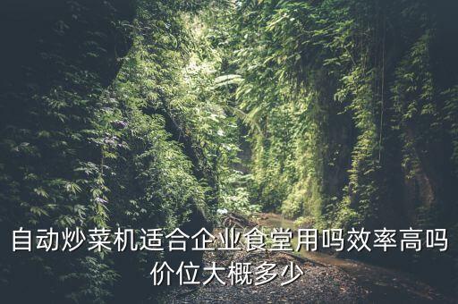 自動(dòng)炒菜機(jī)適合企業(yè)食堂用嗎效率高嗎價(jià)位大概多少
