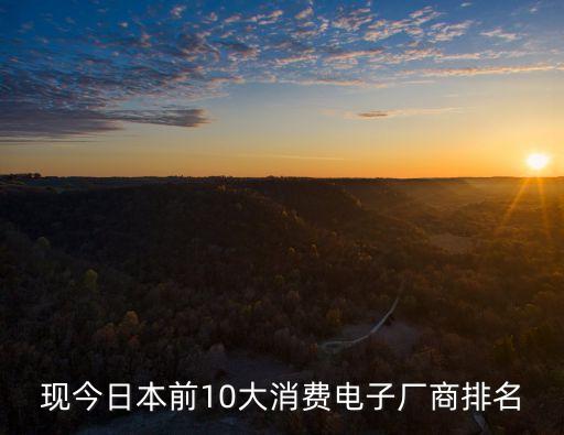 最新科技產(chǎn)品生產(chǎn)廠家排名前十，現(xiàn)今日本前10大消費(fèi)電子廠商排名