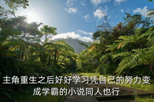 主角重生之后好好學(xué)習(xí)憑自己的努力變成學(xué)霸的小說同人也行