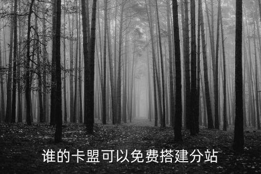 誰的卡盟可以免費搭建分站