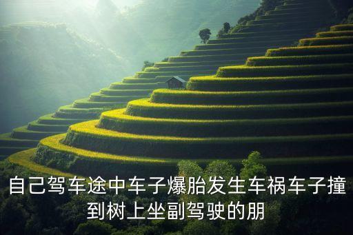 自動駕駛車禍案例，自己駕車途中車子爆胎發(fā)生車禍車子撞到樹上坐副駕駛的朋